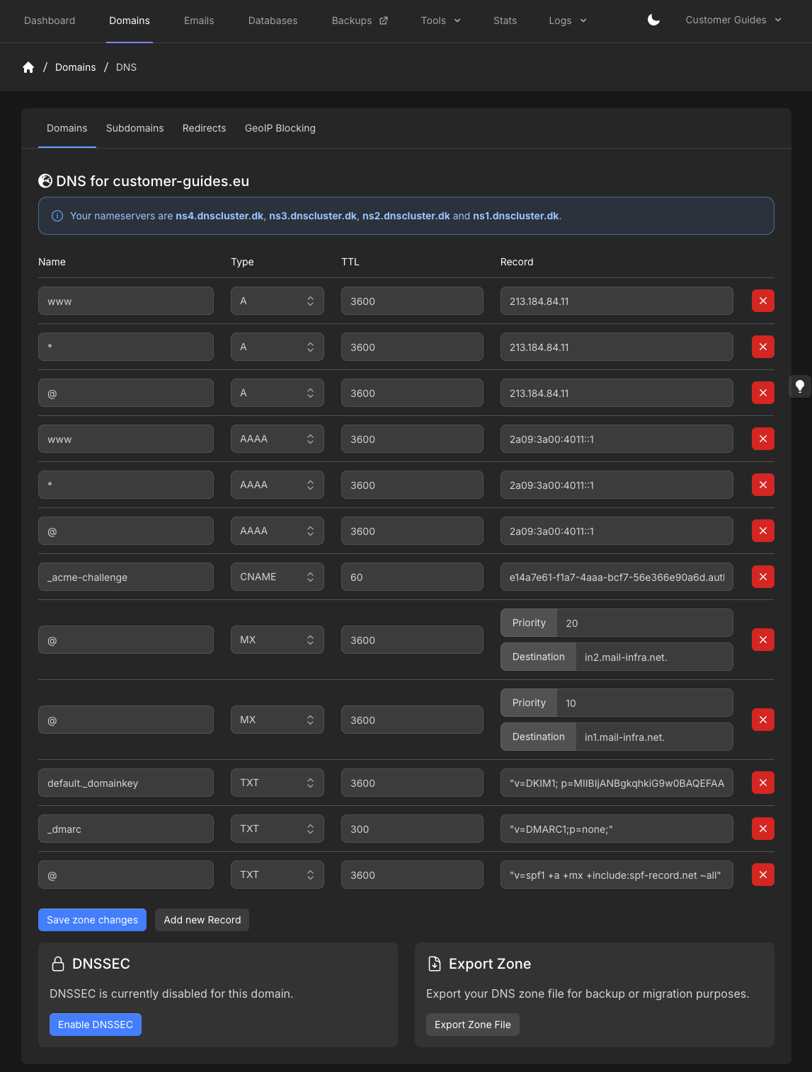 hosting-panel.net DNS editor