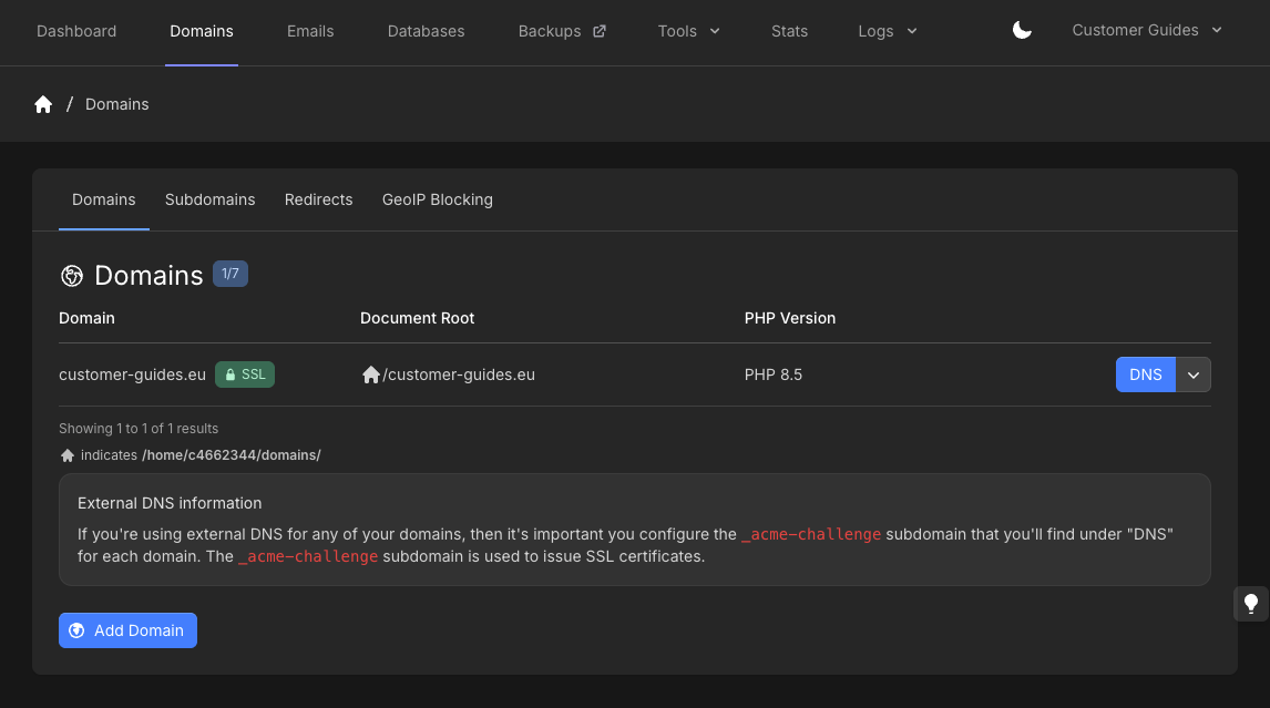 hosting-panel.net Domains page with DNS button