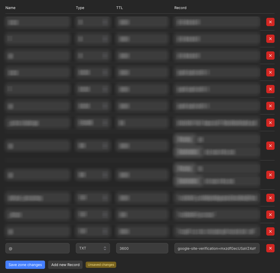 DNS editor with a Google site verification TXT record
